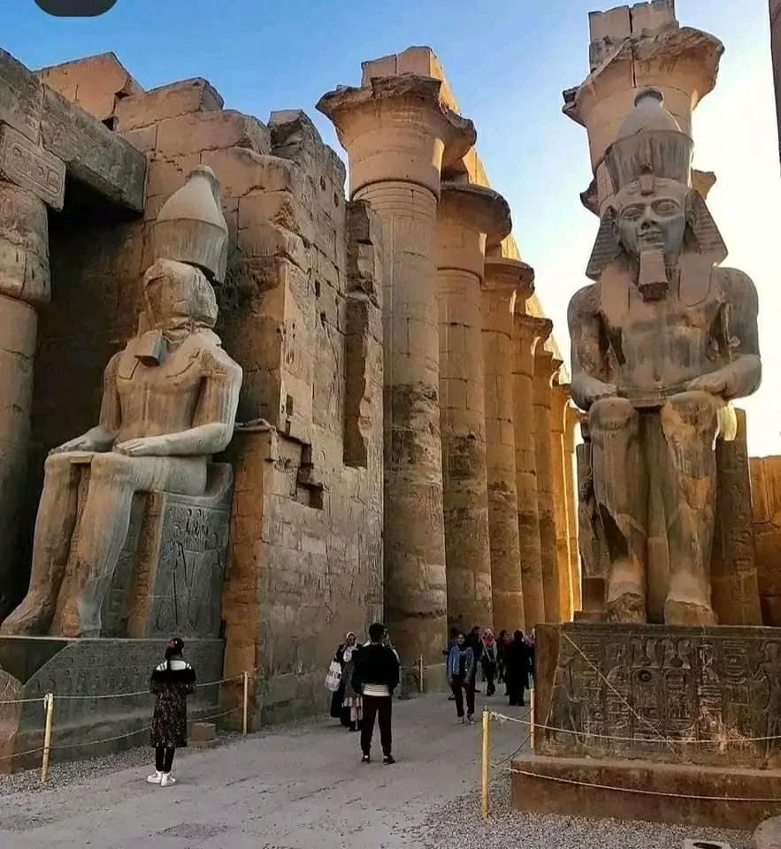 Camel Desert Experience