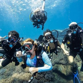 Red Sea Diving: Underwater Wonders Await
